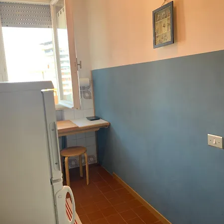 Gabbiano Baia Flaminia Pesaro