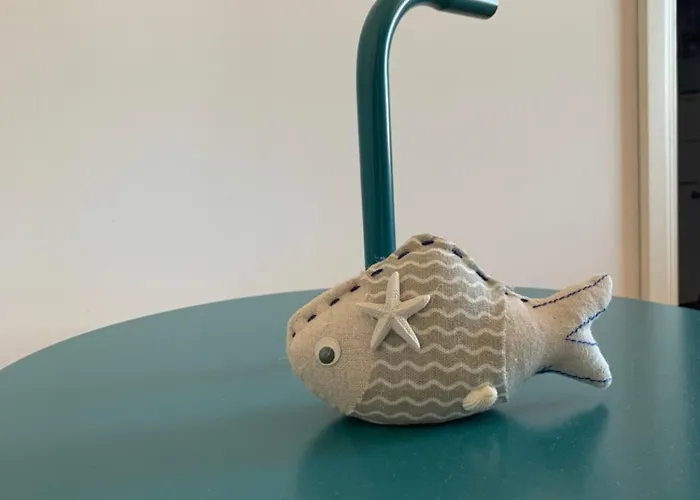 Gabbiano Baia Flaminia