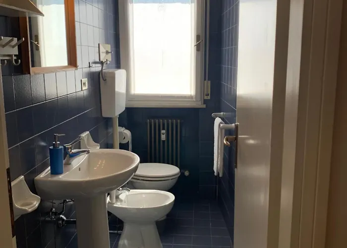 Gabbiano Baia Flaminia